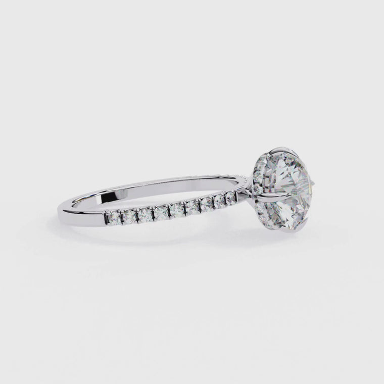 Round Cut With Pave Band Engagement Ring video